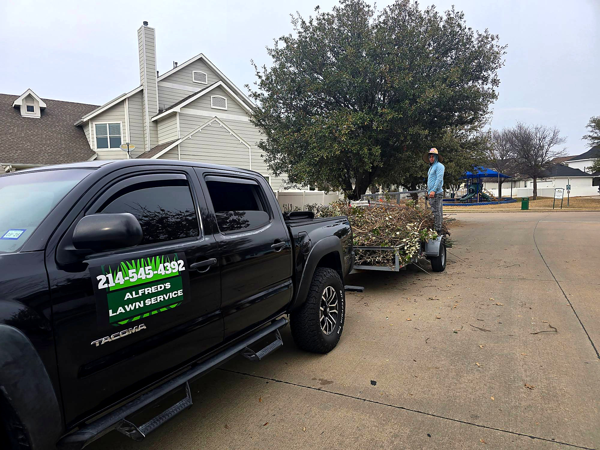 Alfred's Lawn Service truck with a trailer piled high with cut branches, a crew member standing on the load