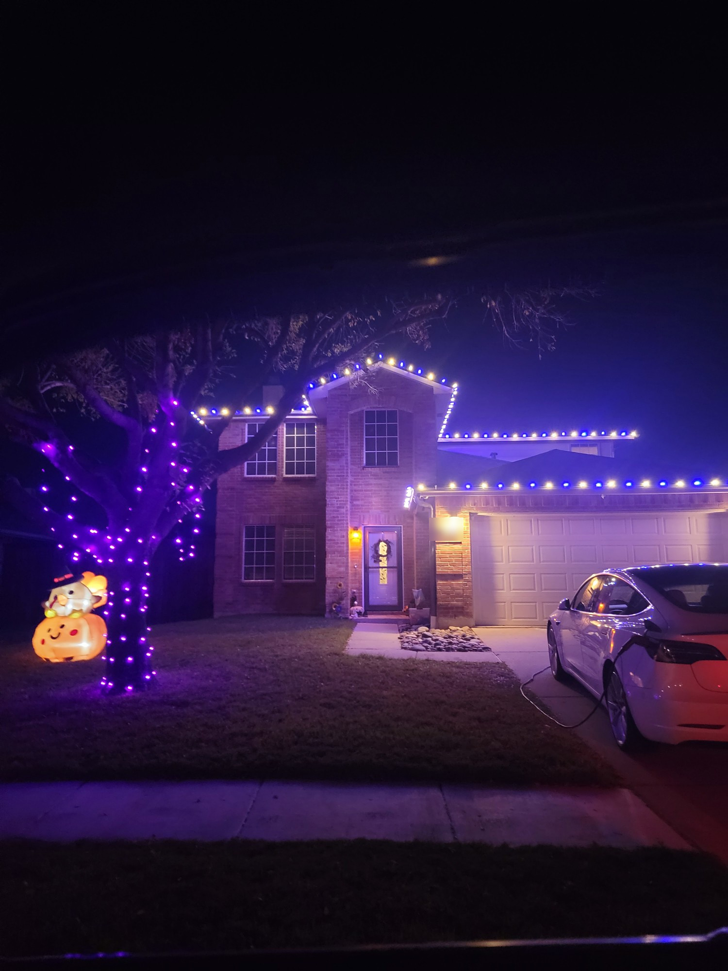 Night: the same house lit up with blue and white lights along every roofline and a tree wrapped in lights