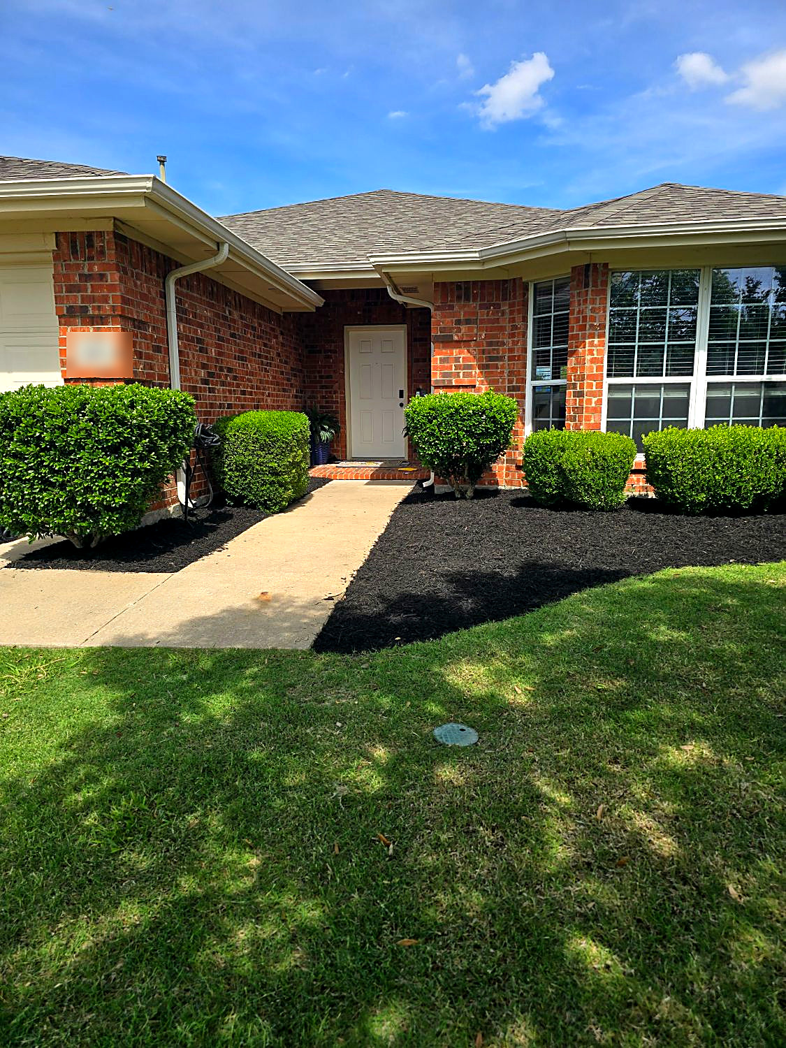Front entry with fresh black mulch beds and rounded, trimmed shrubs